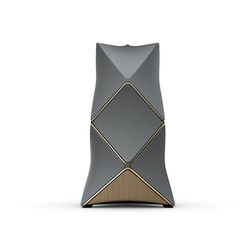 BEOLAB 90